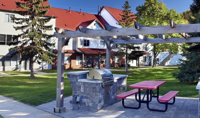 a grilling area with a picnic table